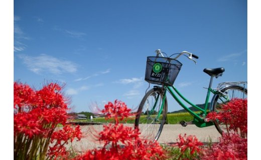 レンタサイクル利用券(普通自転車・3名様まで)