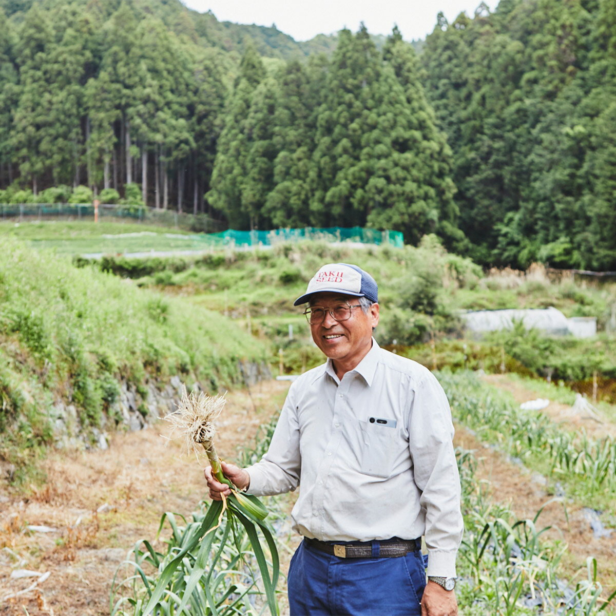 【ふるさと納税】奥明日香の畑で採れたにんにくでつくった「黒にんにく」【無添加】