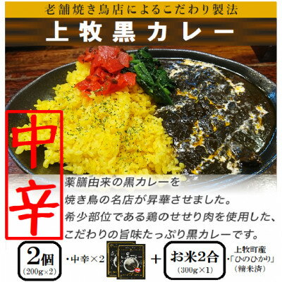 6位! 口コミ数「0件」評価「0」【ご当地カレー】上牧黒カレー(中辛)2個+地元米(ひのひかり)2合をセット【1439531】