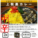 17位! 口コミ数「0件」評価「0」【ご当地カレー】上牧黒カレー(中辛)2個+地元米(ひのひかり)2合をセット【1439531】