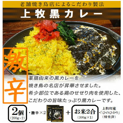 【ご当地カレー】上牧黒カレー(激辛)2個+地元米(ひのひかり)2合をセット【1446988】