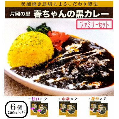 16位! 口コミ数「0件」評価「0」片岡の里春ちゃんの黒カレー　ファミリーセット【1450883】