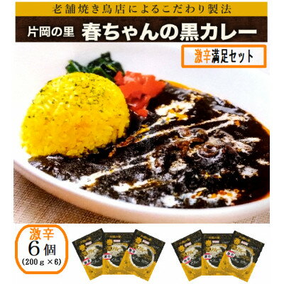 片岡の里春ちゃんの黒カレー 激辛満足セット