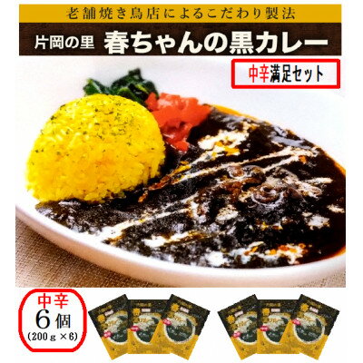 楽天奈良県上牧町【ふるさと納税】片岡の里春ちゃんの黒カレー　中辛満足セット【1466672】