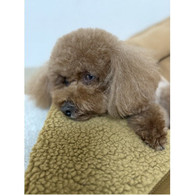 奈良県上牧町の画像3