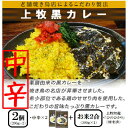 【ふるさと納税】【ご当地カレー選べる辛さ】上牧黒カレー2個+地元米(ひのひかり)2合をセット【G1439531】
