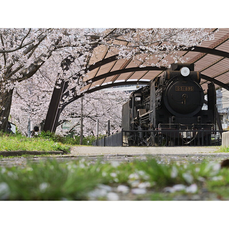 【ふるさと納税】アートパネル　汽車と桜　【 織物 フォトグラファー 下村綱起 撮影 風景 動物 写真 ...