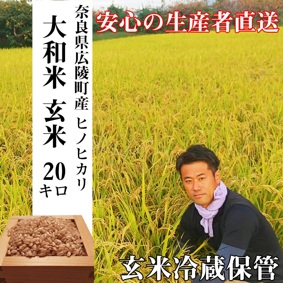 【ふるさと納税】＼お買い物マラソン×ポイントアップ／【令和5年度産】【 色彩選別 加工済 大和米 奈良県 広陵町産 ヒノヒカリ 玄米 20kg