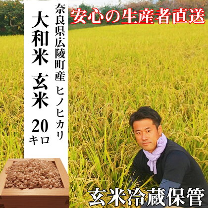 ＼お買い物マラソン×ポイントアップ／【令和5年度産】【 色彩選別 加工済 大和米 奈良県 広陵町産 ヒノヒカリ 玄米 20kg