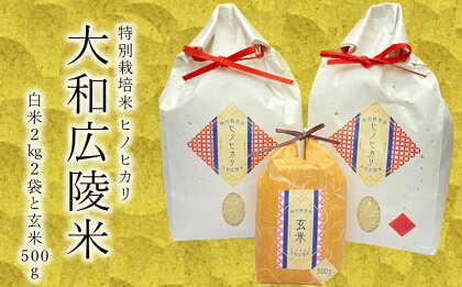 【令和5年度産】特別栽培米　奈良県広陵町産ヒノヒカリ　白米2kg×2　玄米500gセット