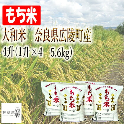 【令和5年度産】大和米 奈良県 広陵町産 もち白米 4升(1升×4) 5.6kg 数量限定