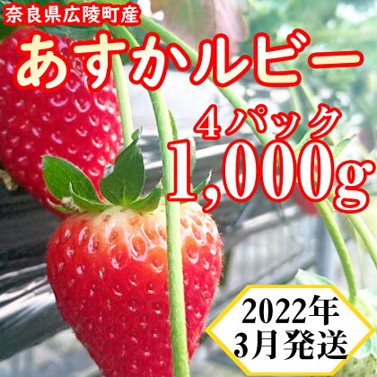2022年A3 あすかルビー 1000g 3月発送 / 納税 国産 奈良県 広陵町 いちご イチゴ 苺 朝採れ 手摘み 数量限定 先行予約 期間限定 1,000g 1kg 厳選 朝採り 果物 くだもの 旬 冬 フルーツ 予約 送料無料 飛鳥ルビー 明日香ルビー アスカルビー 3月 10000円
