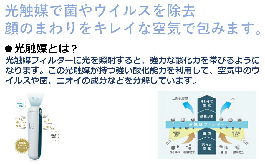 【ふるさと納税】＼お買い物マラソン×ポイントアップ／空気清浄機 光触媒搭載パーソナル除菌脱臭空気清浄機 MYAIR マイエアー /// 除菌 脱臭 充電式 除菌脱臭 仕事 ポケットサイズ 通勤 通学 対策