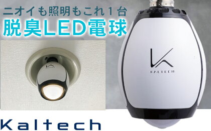 ＼お買い物マラソン×ポイントアップ／光触媒除菌脱臭機電球タイプ 脱臭LED電球 /// 除菌 脱臭 充電式 除菌脱臭 仕事 電球 LED 人感センサー トイレ お部屋