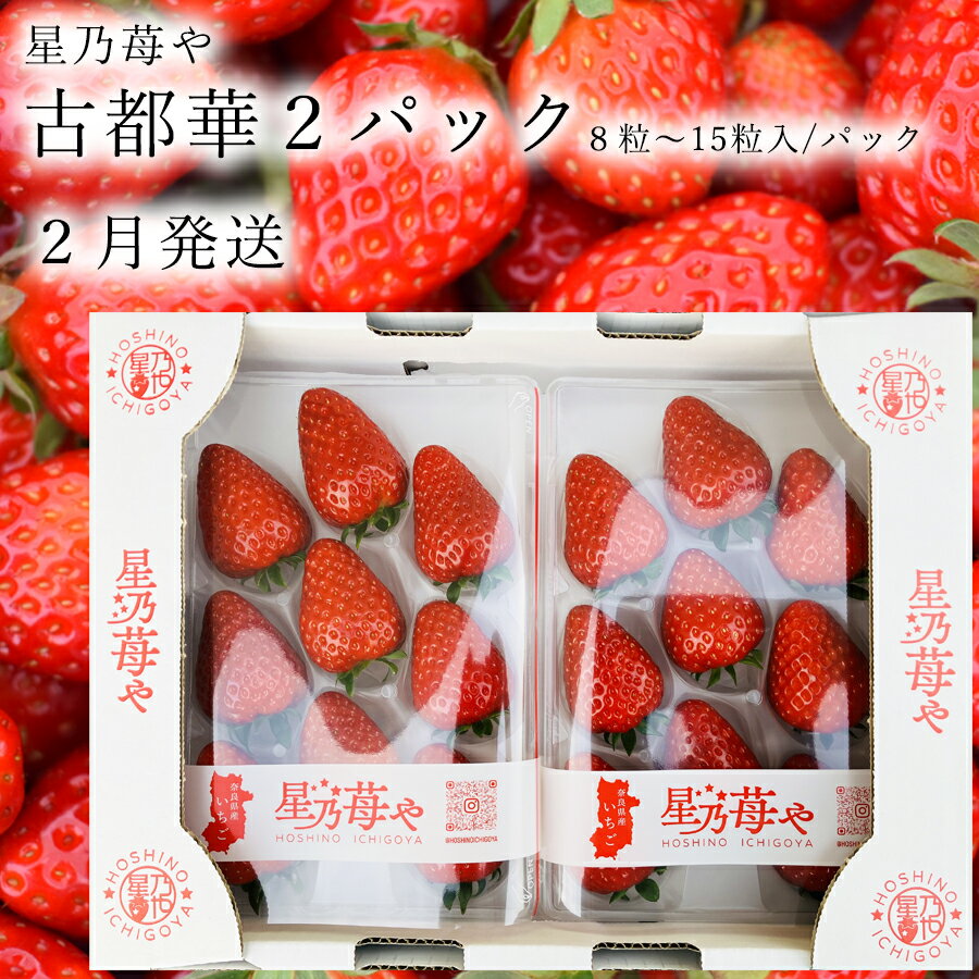 【ふるさと納税】先行予約 奈良県ブランドイチゴ古都華2パック 2月発送 // /苺 いちご イチゴ 古都華 奈良 奈良県 広陵町 生産者直送 直送 厳選 数量限定 旬 フルーツ 甘い 完熟 果物 星乃苺や