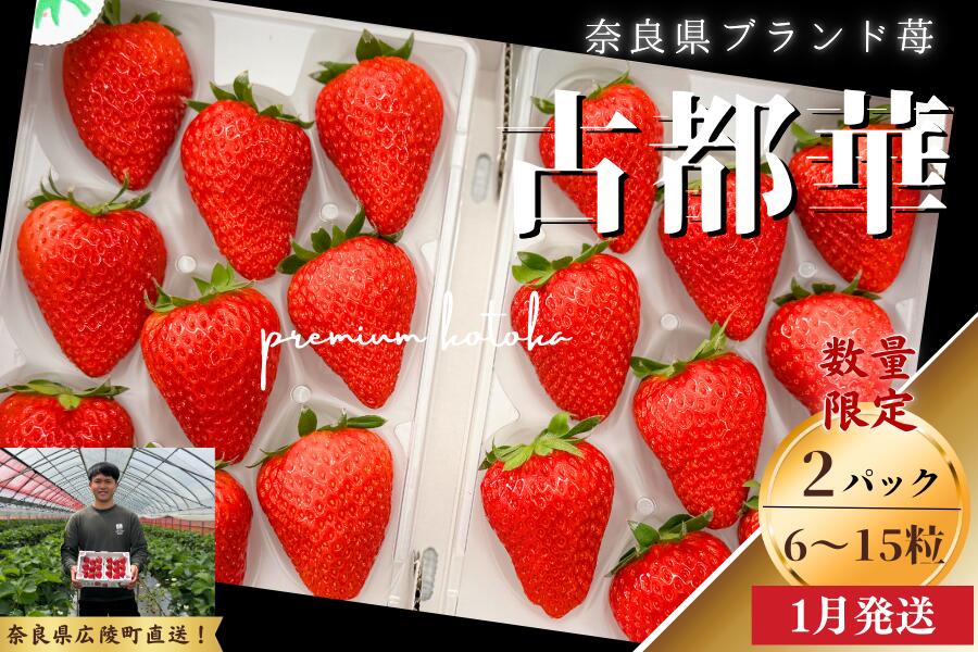 数量限定 先行予約 古都華 270g×2パック 2026年1月発送 // いちご イチゴ 古都華 フルーツ 果物 旬 いちご ことか イチゴ 先行予約 古都華 数量限定 古都華 甘い 先行受付 奈良いちご農園COTO