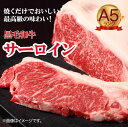 【ふるさと納税】黒毛和牛 A5ランク サーロイン ブロック 1.5kg (ステーキ用ソース・スパイス付) 国産 牛肉 和牛 焼肉 焼き肉 すき焼き 霜降り A5 A5等級 高級肉 ステーキ チルド ソース付 送料無料 牛サーロインステーキ用肉 サーロイン肉 奈良 ランキング おすすめ 人気 2