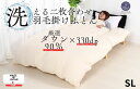 【ふるさと納税】羽毛布団 二枚合わせ シングル クリーム 150×210 合掛0.8kg 肌掛0.3kg オールシーズン 一年中 使える 抗菌 防臭 消臭 掛け布団 かけ布団 羽毛 通年 肌布団 軽い ふっくら ふんわり ふわふわ もこもこ 高機能 軽量 春 夏 秋 冬 防ダニ 保温 暖かい(3)