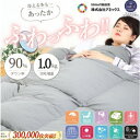 21位! 口コミ数「0件」評価「0」羽毛掛け布団 シングル 日本製 無地グレー ダウン90% 1.0kg 立体スクエアキルト 8か所ループ付き 抗菌 防臭 消臭 パワーアップ加･･･ 