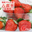 22位! 口コミ数「0件」評価「0」【2025年先行受注】定期便 2回 苺 古都華 ことか 6パック いちご 奈良 2ヶ月連続 奈良県産 1.5kg 1kg イチゴ ストロベリ･･･ 