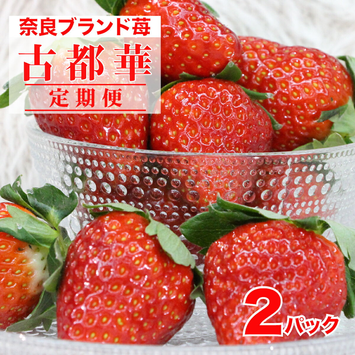 48位! 口コミ数「0件」評価「0」【2025年先行受注】定期便 2回 苺 古都華 ことか 2パック いちご 2ヶ月連続 500g イチゴ ストロベリー 人気 おすすめ 1万円･･･ 