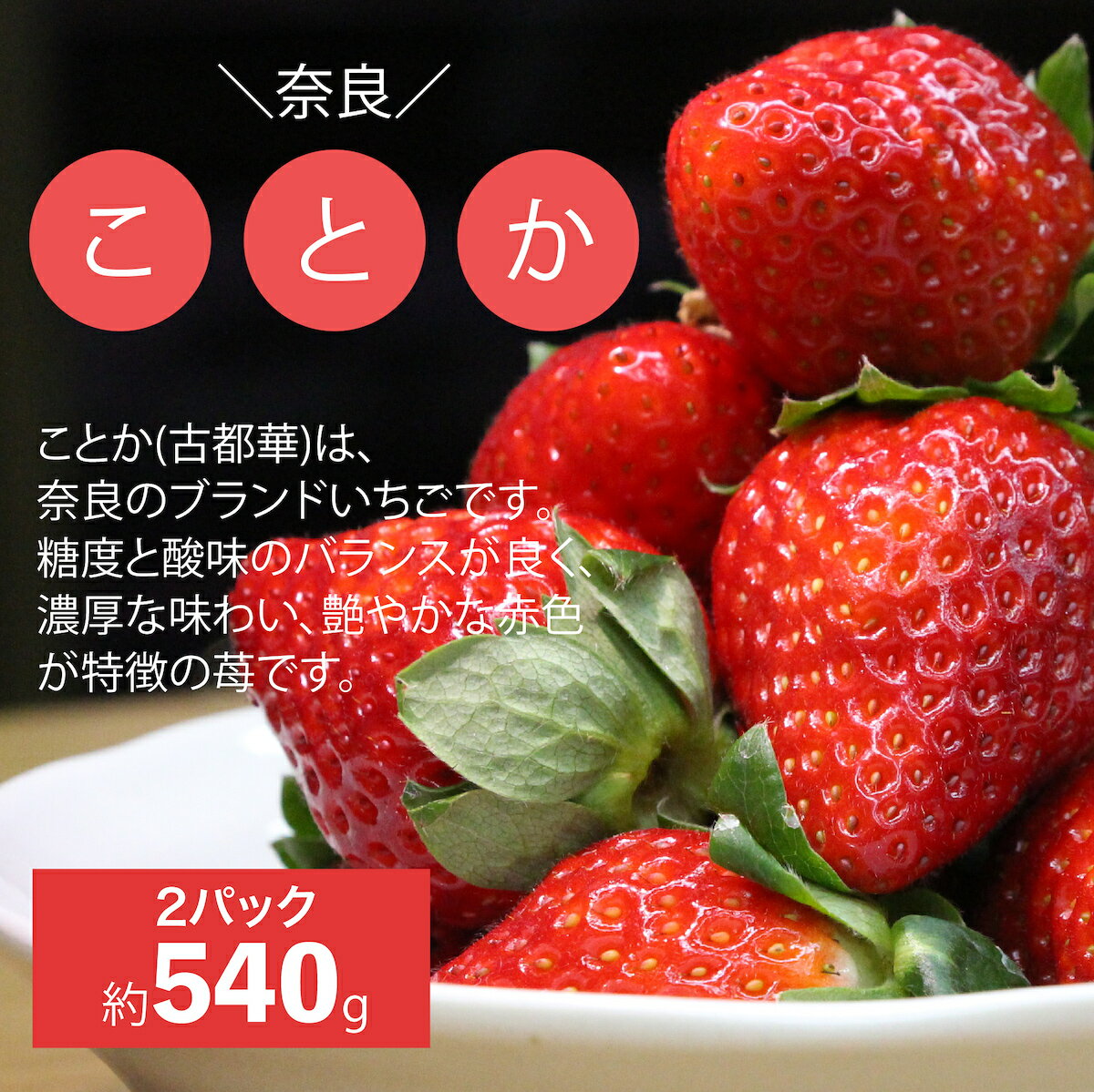 【2025年先行受注】【ふるさと納税】定期便 2回 苺 古都華 ことか 2パック いちご 2ヶ月連続 500g イチゴ ストロベリー 人気 おすすめ 1万円 果物 ブランド苺 ブランドいちご 甘い 香り 糖度 高い 濃厚 酸味 くだもの フルーツ 高級 毎月届く 贅沢 ランキング お得 完熟