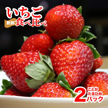 【2025年先行受注】いちご 食べ比べ 苺 270g 2パック ことか 古都華 たまひめ 珠姫 計540g いちご 奈良 奈良県産 500g 以上 イチゴ ストロベリー 人気 おすすめ 果物 ブランド苺 ブランドいちご 甘い 香り 糖度 高い 濃厚 酸味 おいしい お得 くだもの