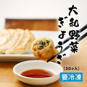 【ふるさと納税】大和野菜餃子 30個 (15個x2 1個20g) ヤマトポーク 人気 おすすめ 野菜 餃子 冷凍 簡単 豚肉 おかず 中華 惣菜 やまと餃子 ギフト プレゼント 贈答 お礼の品 本格中華 地元野菜 自慢の餃子 お徳用 ぎょうざ 冷凍餃子 冷凍生餃子 冷凍食品 送料無料 業務用