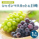 【ふるさと納税】シャインマスカット & 巨峰 約1kg 各1房(計2房) フルーツ ぶどう マスカット 葡萄 果物 奈良県 吉野町 くだもの 果物
