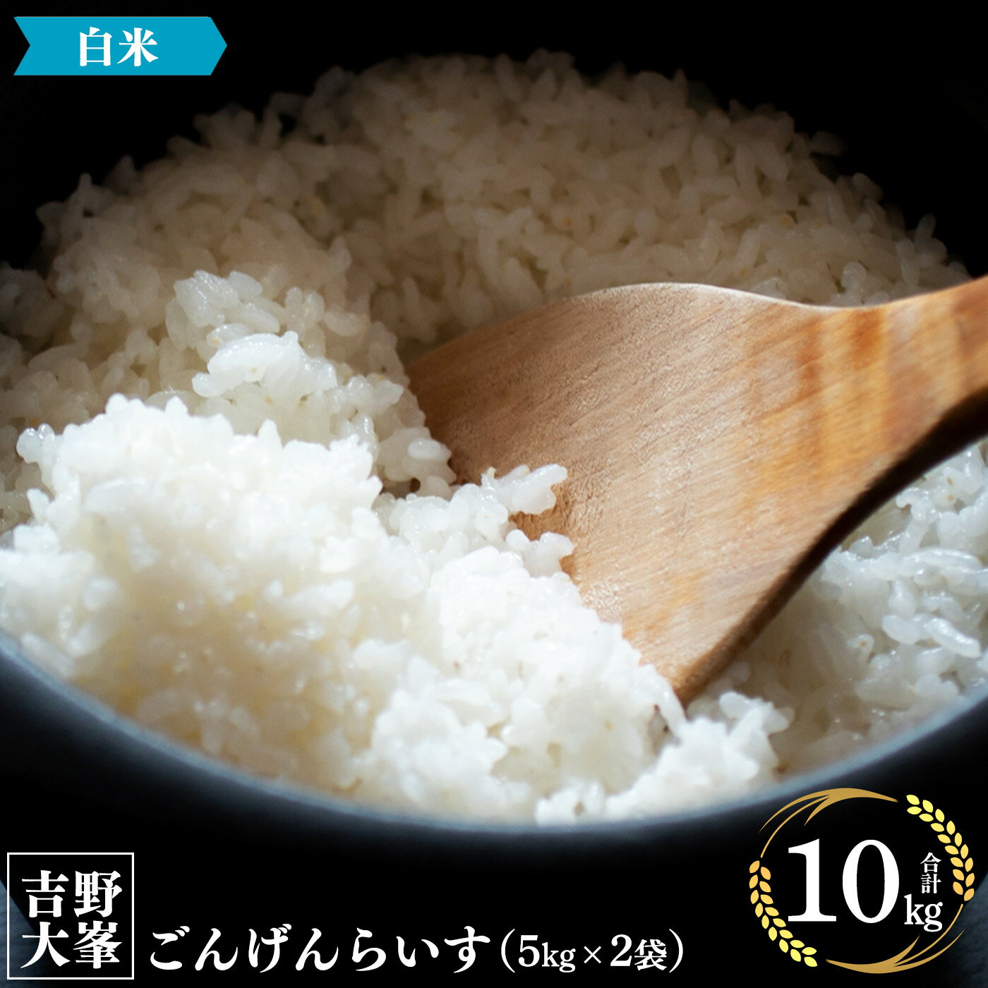 【ふるさと納税】吉野大峯 ごんげんらいす 5kg ×2袋 計10kg 白米 精米 お米 奈良県 吉野町 ごはん 米 ...