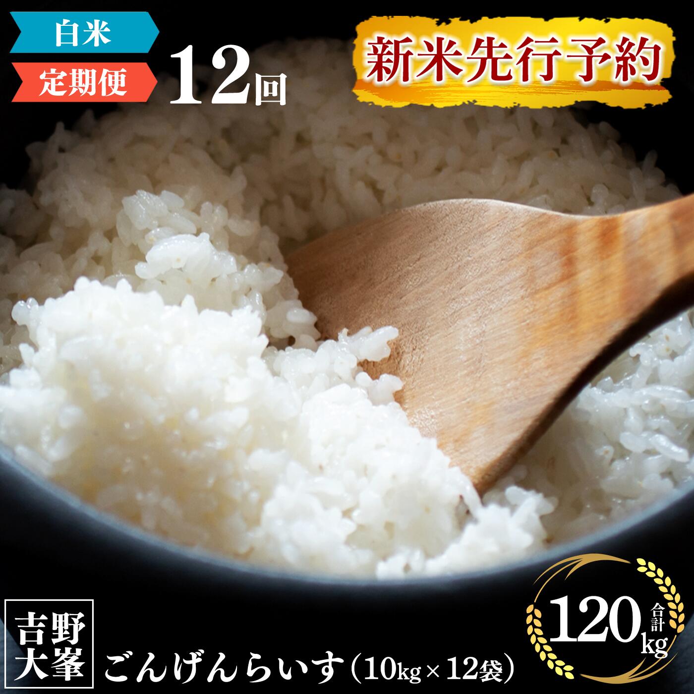 【ふるさと納税】新米予約 奈良のお米のお届け便　10kg×1年分 （計12回） 白米 精米 米 ライス 計 120kg 大容量 奈良 吉野町 ごんげんらいす お米 120キロ ひのひかり 令和6年産 先行予約のサムネイル