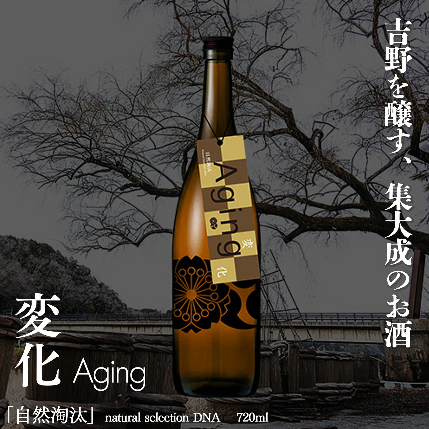 ڤդ뤵Ǽǡۼ natural selection DNA Aging 