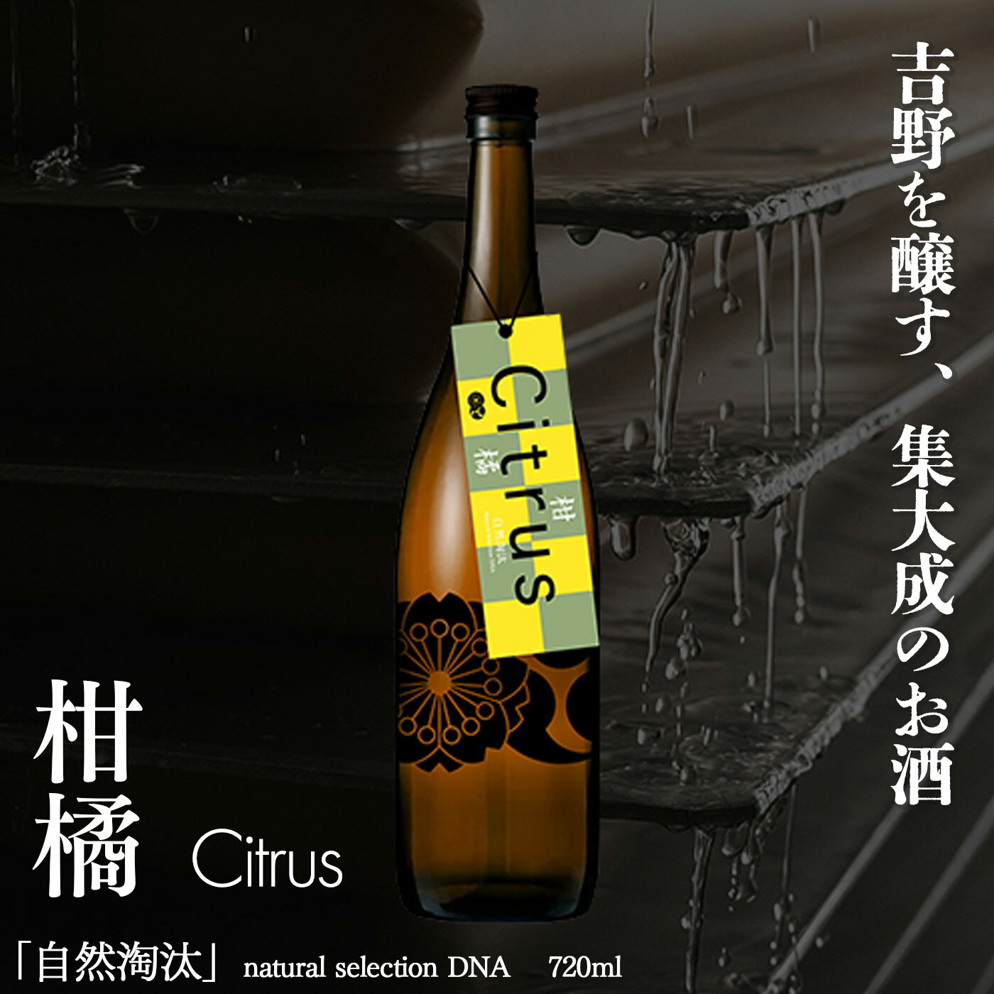 【ふるさと納税】自然淘汰 natural selection DNA Citrus柑橘 日本酒 酒 美吉野酒造 奈良県 吉野町