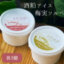 【ふるさと納税】酒蔵アイスセット(酒粕アイス・梅実ソルベ)各3個 計6個