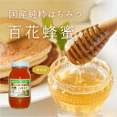 【ふるさと納税】吉野産 日本蜜蜂 450g 970g|先行予約|数量限定|希少な国産蜂蜜・ギフトにも|天然はちみつ【奈良県吉野町】