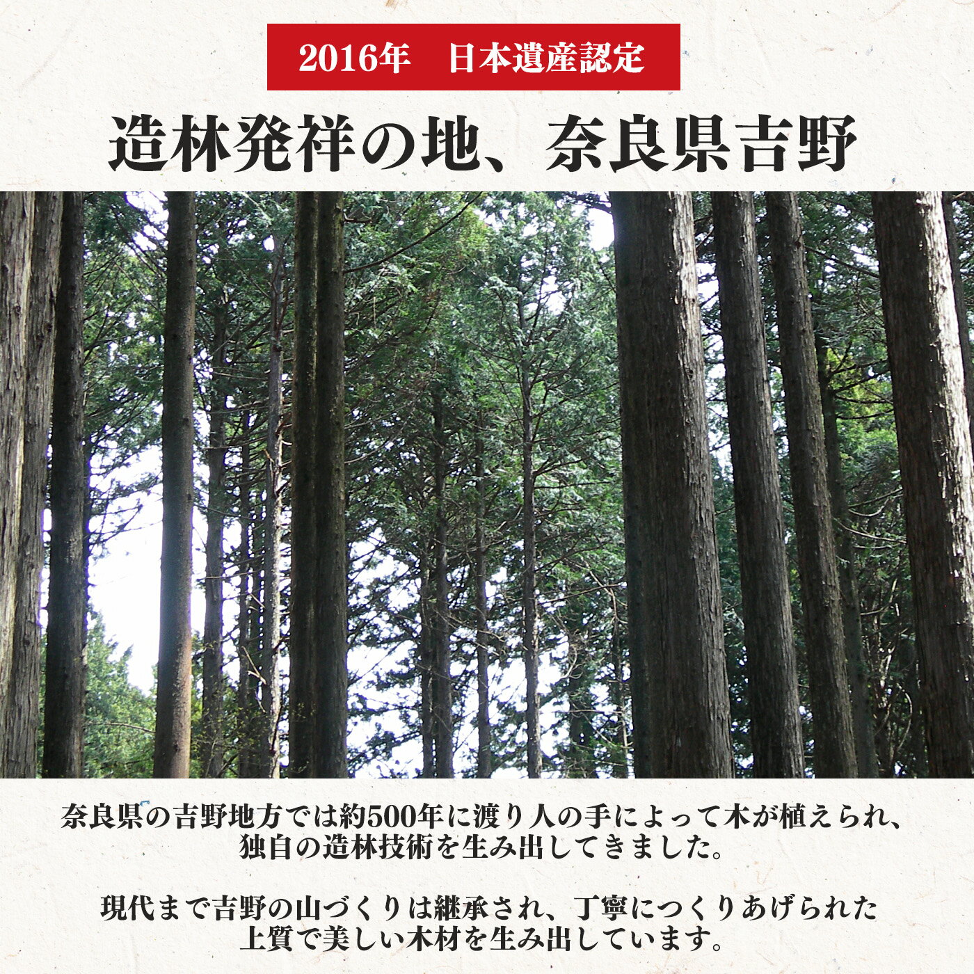 【ふるさと納税】吉野桧 無塗装 積み木 ひのき つみき おもちゃ