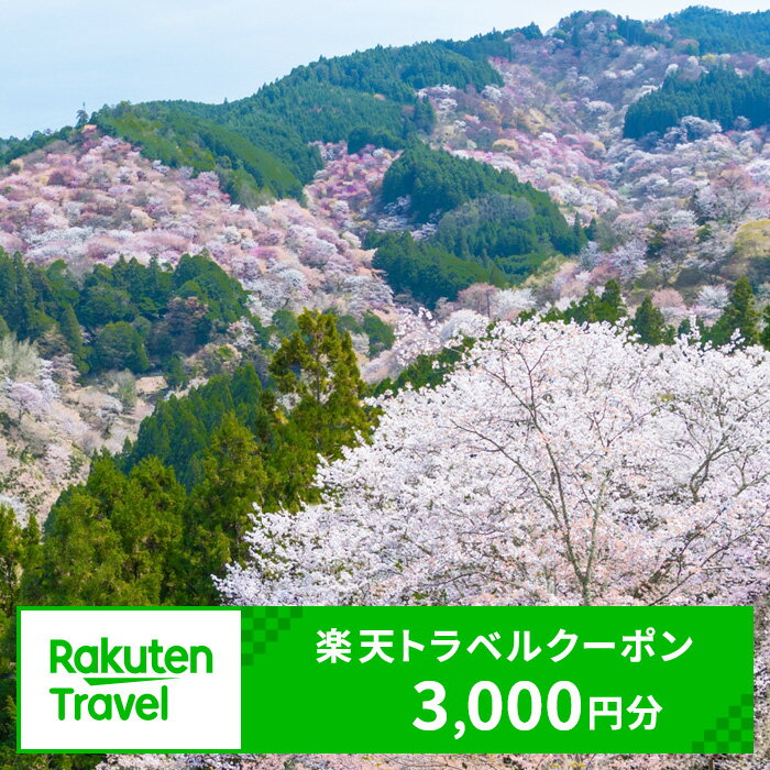 奈良県吉野町の対象施設で使える楽天トラベルクーポン 寄付額10,000円