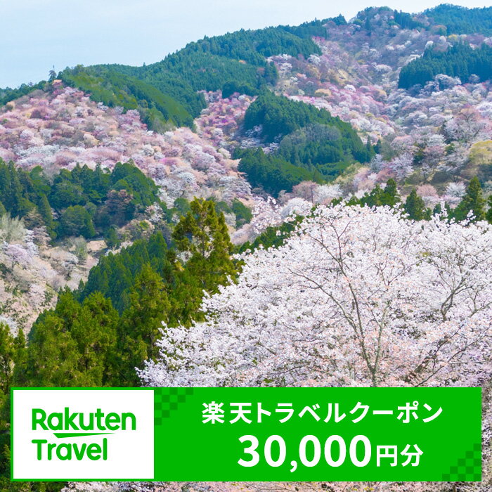 【ふるさと納税】奈良県吉野町の対象施設で使える楽天トラベルクーポン 寄付額100,000円