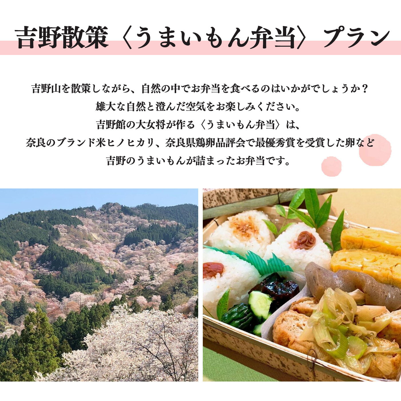 【ふるさと納税】吉野館 吉野散策"うまいもん弁当" 1泊2食付〈1泊朝食／昼食付〉プラン 2名利用 チケット 体験 奈良県 吉野町