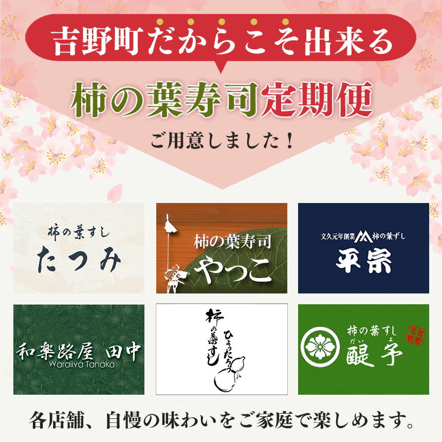 【ふるさと納税】柿の葉寿司定期便【6回】 奈良県 名物 柿の葉寿司 寿司 すし さけ さば お祝い お寿司 お土産 正月 お盆 日本 料理 伝統 冷蔵 和食 ごはん サーモン 定番 お勧め