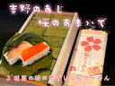 【ふるさと納税】柿の葉寿司と桜そうめん