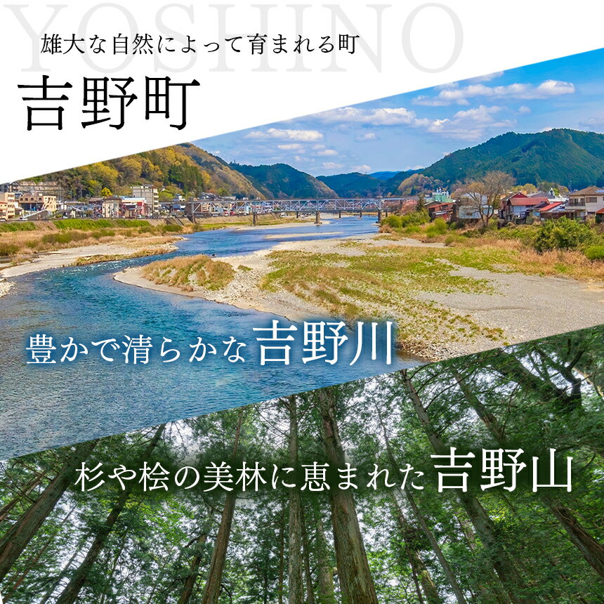 【ふるさと納税】真空パック 無洗米 ひのひかり 300g ×18袋 お米 ヒノヒカリ 米 奈良県 吉野町 真空 保存 備蓄