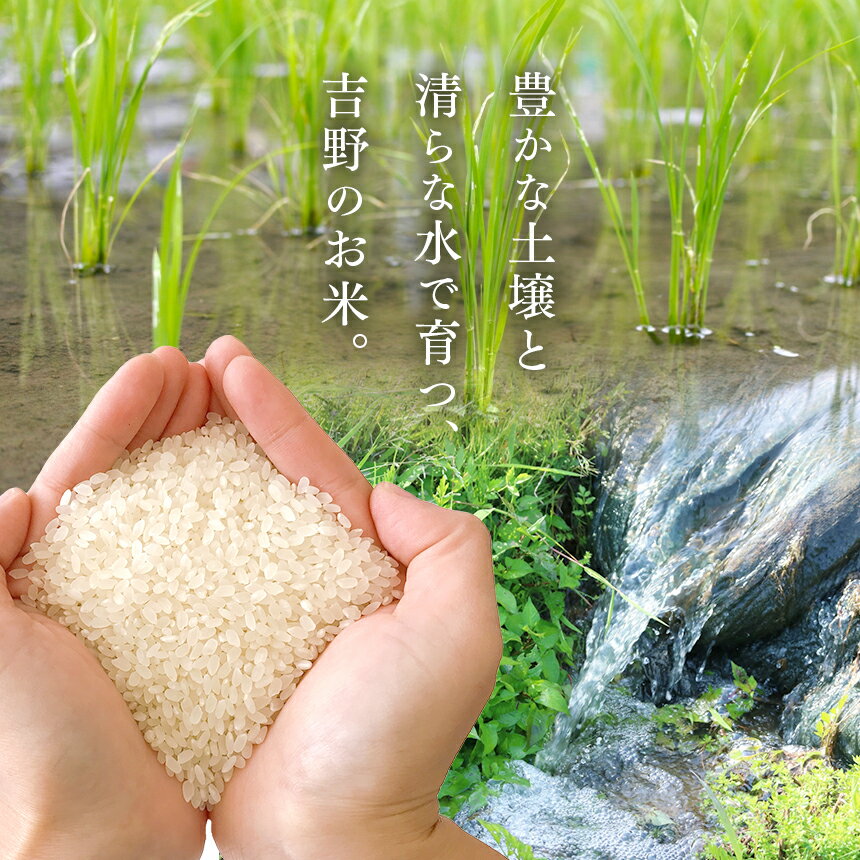 奈良県吉野町の画像3