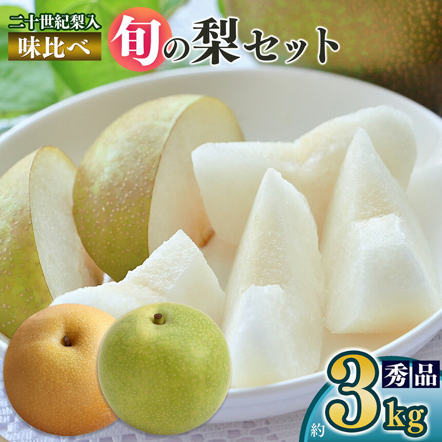 【ふるさと納税】 【先行予約】 南陽園の旬の梨 味くらべ（二十世紀梨セット） 約3kg 2L～5L 【秀品】 | ≪数量限定≫ 梨園直送！ 期間限定 果物 フルーツ 農家直送 梨 シャキシャキ もぎたて お取り寄せ 二十世紀 幸水 奈良県 大淀町 ※9月中旬より順次発送予定のサムネイル