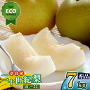 【ふるさと納税】 【先行予約】 南陽園の二十世紀梨 半箱(約7kg) 2L~5L 【秀品】 | ≪数量限定≫ 梨園直送! 期間限定 果物 くだもの フルーツ 農家直送 梨 ナシ なし 二十世紀梨 シャキシャキ もぎたて 旬 お取り寄せ 奈良県 大淀町 ※9月上旬より順次発送予定