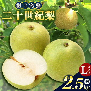 【ふるさと納税】奈良県産 二十世紀梨 Lサイズ 化粧箱 2.5kg以上 10玉 | 果物 くだもの フルーツ 梨 20世紀梨 奈良県 大淀町 季節 産地直送 樹上完熟 万福農園
