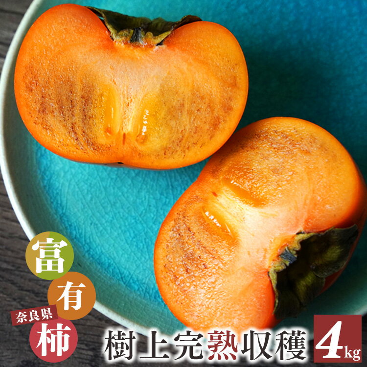 【ふるさと納税】奈良県産 吉野 富有柿 4kg （12〜14個入り） S箱 期間限定 産地直送 大淀町 メディアで紹介