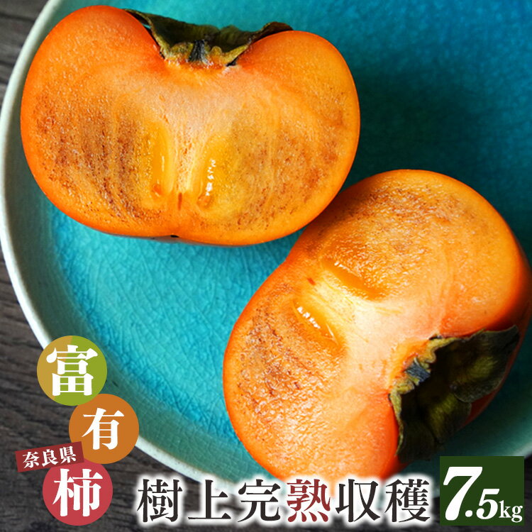 【ふるさと納税】奈良県産 吉野 富有柿 7.5kg （24〜28個入り） M箱 | 果物 くだもの 柿 かき 期間限定 産地直送 奈良県 大淀町 メディアで紹介