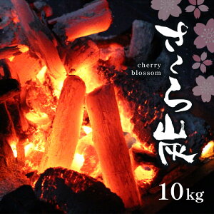 【ふるさと納税】プロが愛用する炭さくら炭10kg奈良県大淀町バーベキュー焼き鳥焼き肉