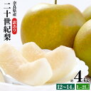 【ふるさと納税】訳あり 二十世紀梨 L~2Lサイズ 12~14玉 約4kg | フルーツ 果物 くだもの 梨 二十世紀梨 奈良県 大淀町